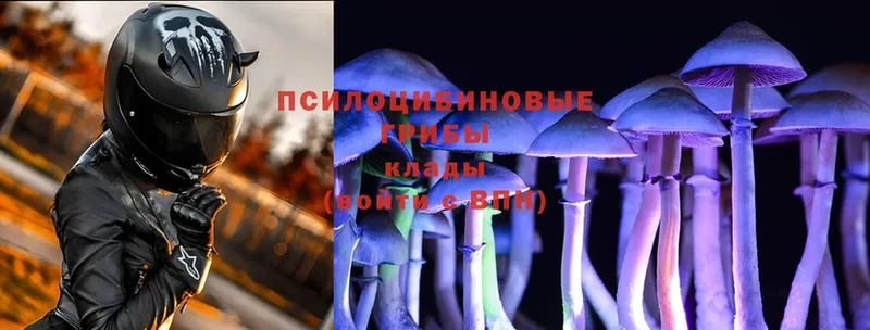 даркнет сайт  мориарти как зайти  Псилоцибиновые грибы Cubensis  Набережные Челны 